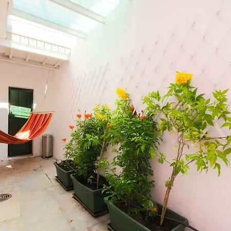 Apartment 2 Bedroom With Patio Next To Avenida Da Liberdade *